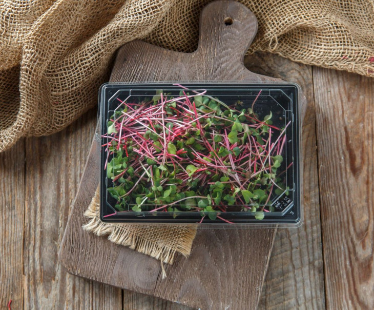 4173 Микрозелень редиса розового "Ред Коралл" Вкусляндия  - Вид №2