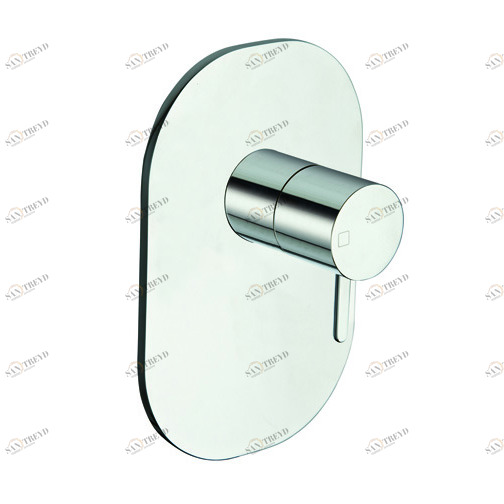 CRIQE686 Наружные части смесителя для душа CRICS535 с металлической пластиной Cristina Rubinetterie 