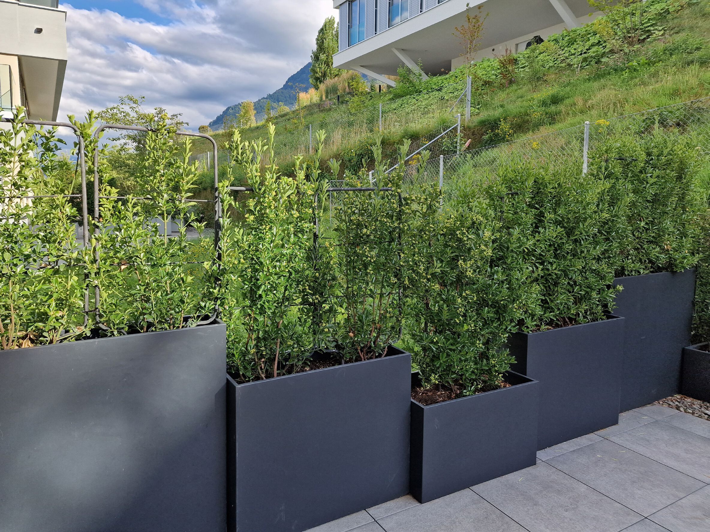 Модульная металлическая плантатор DRIGANI FLOWER BOX ARCH-00039105