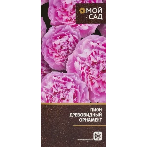 83761603 Пион древовидный Орнамент в тубе Цветочный альянс STLM-0965732