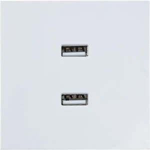 Розетка Lezard Zima с двойным USB для современной зарядки 89398369