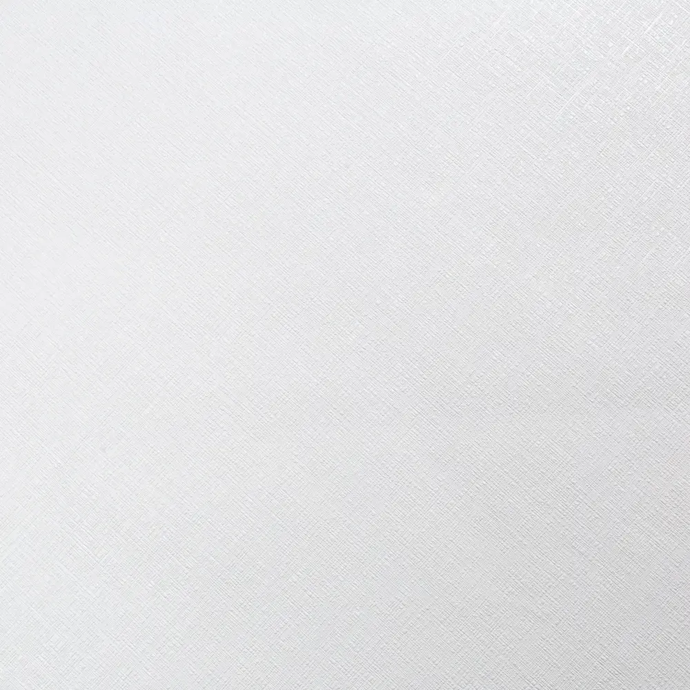 Флизелиновые обои Palitra Home Super белые 1.06 м 89436988 STLM-1582805 - Вид №1