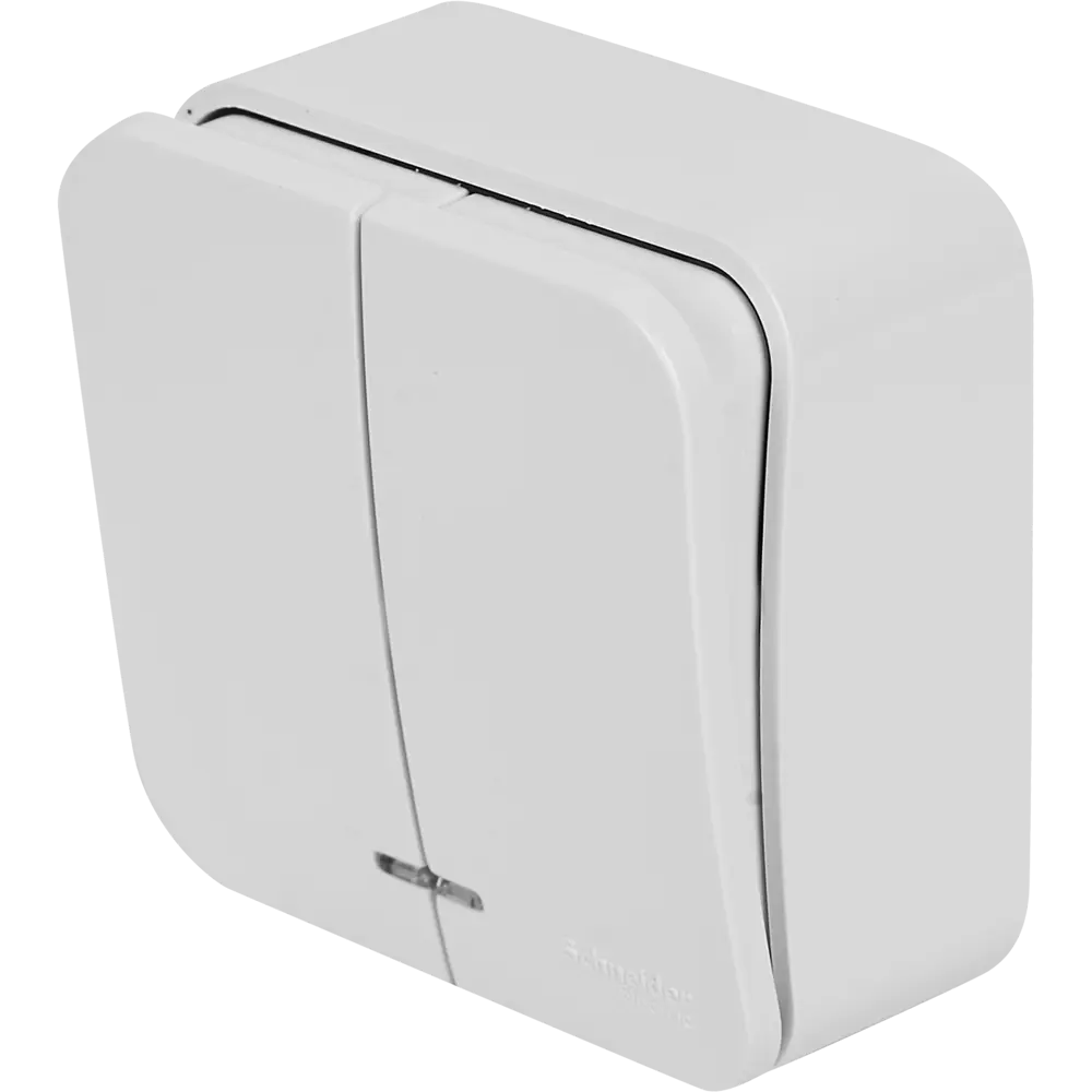 Выключатель накладной Schneider Electric Blanca 2 клавиши цвет белый SYSTEME ELECTRIC STLM-2065483