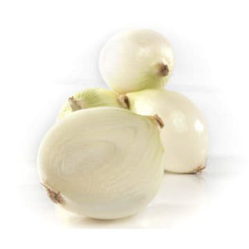 Лук белый Santreyd 2115 - Вид №1