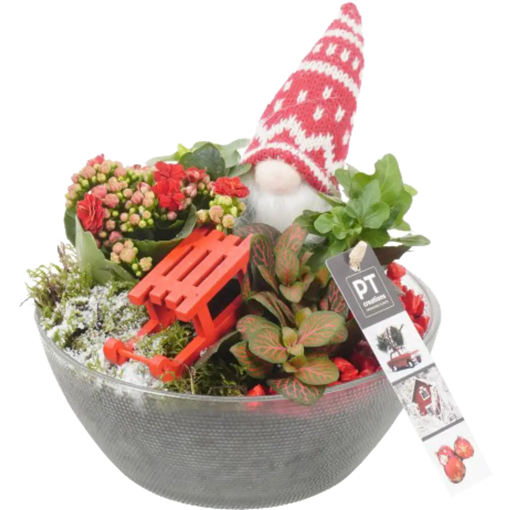 Новогодняя композиция Крисмас Ред ø16 h16 см Santreyd STLM-2080370