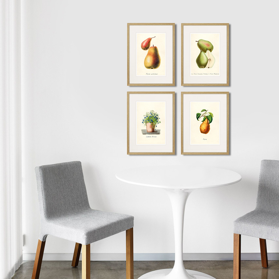 Картина в раме 32х42 см Botany illustration №9, 1836г. КАРТИНЫ В КВАРТИРУ  264501 Бежевый;зеленый;разноцветный  - Вид №2