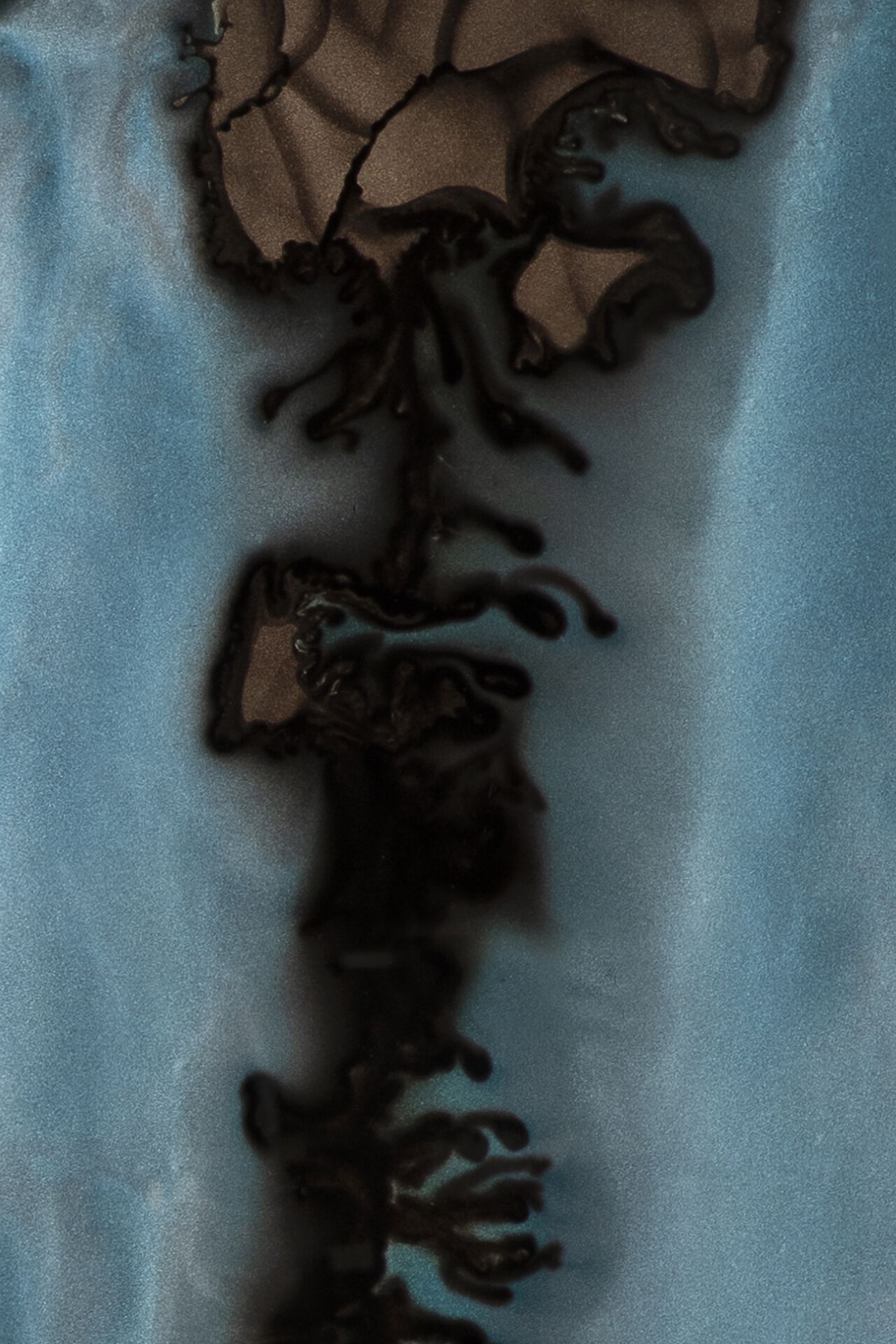 ARCH-00030270 Лоток для хранения яиц Ethnicraft Бельгия Organic - Вид №5