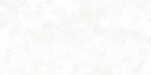 Riga White 30х60