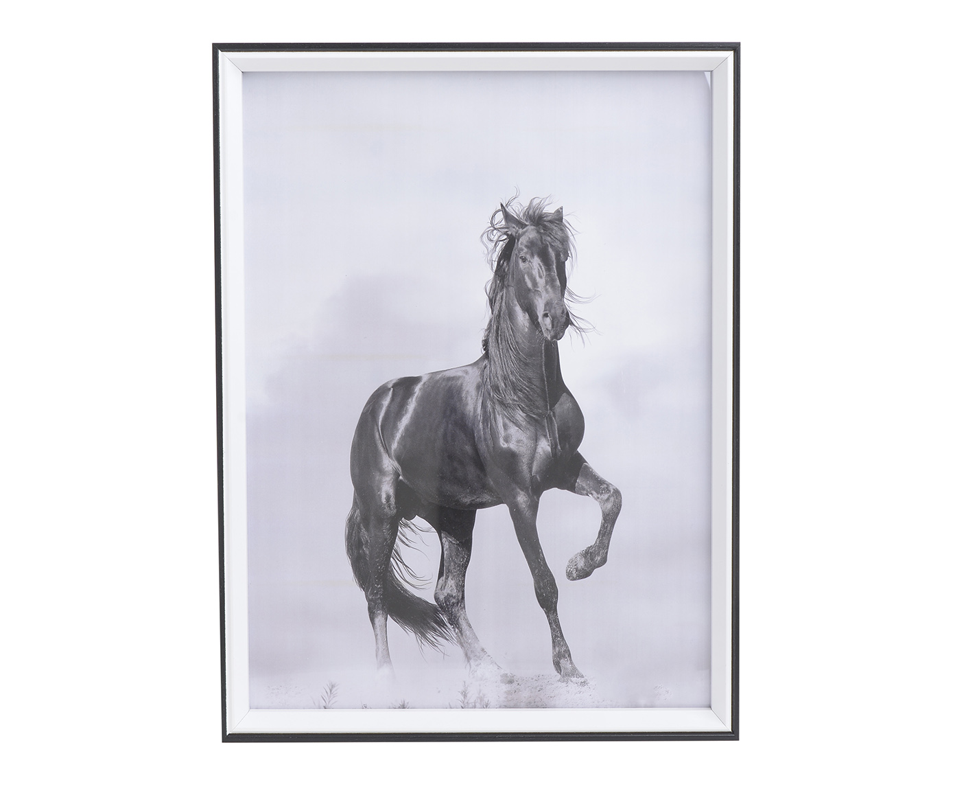 3890763.0030 Принт в раме TO4ROOMS 