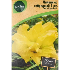 Лилейник Geolia гибридный Дабл Ривэ Вай 86408692 STLM-2036346