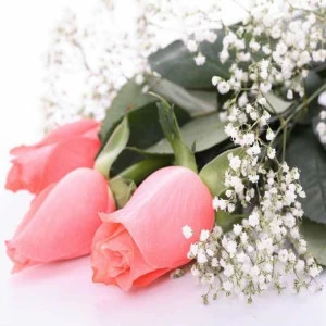 WP00955 Фотообои Verol Фотообои decoline 1х1 м