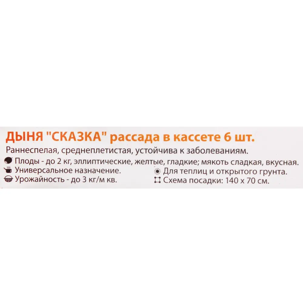 Дыня, рассада, P6, h20 15983505 STLM-2173528 Santreyd  - Вид №2
