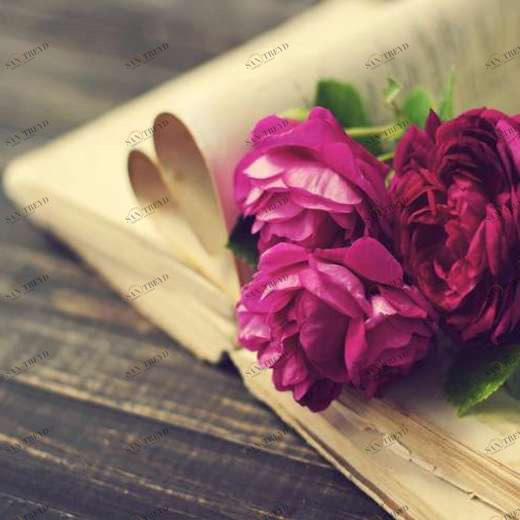 WP01364 Фотообои Verol Фотообои decoline 1х1 м