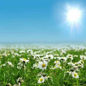 WP02463 Фотообои Verol Фотообои decoline 1х1 м