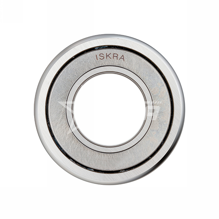 IS1678 Опорный ролик NATV25PP ISKRA  - Вид №3