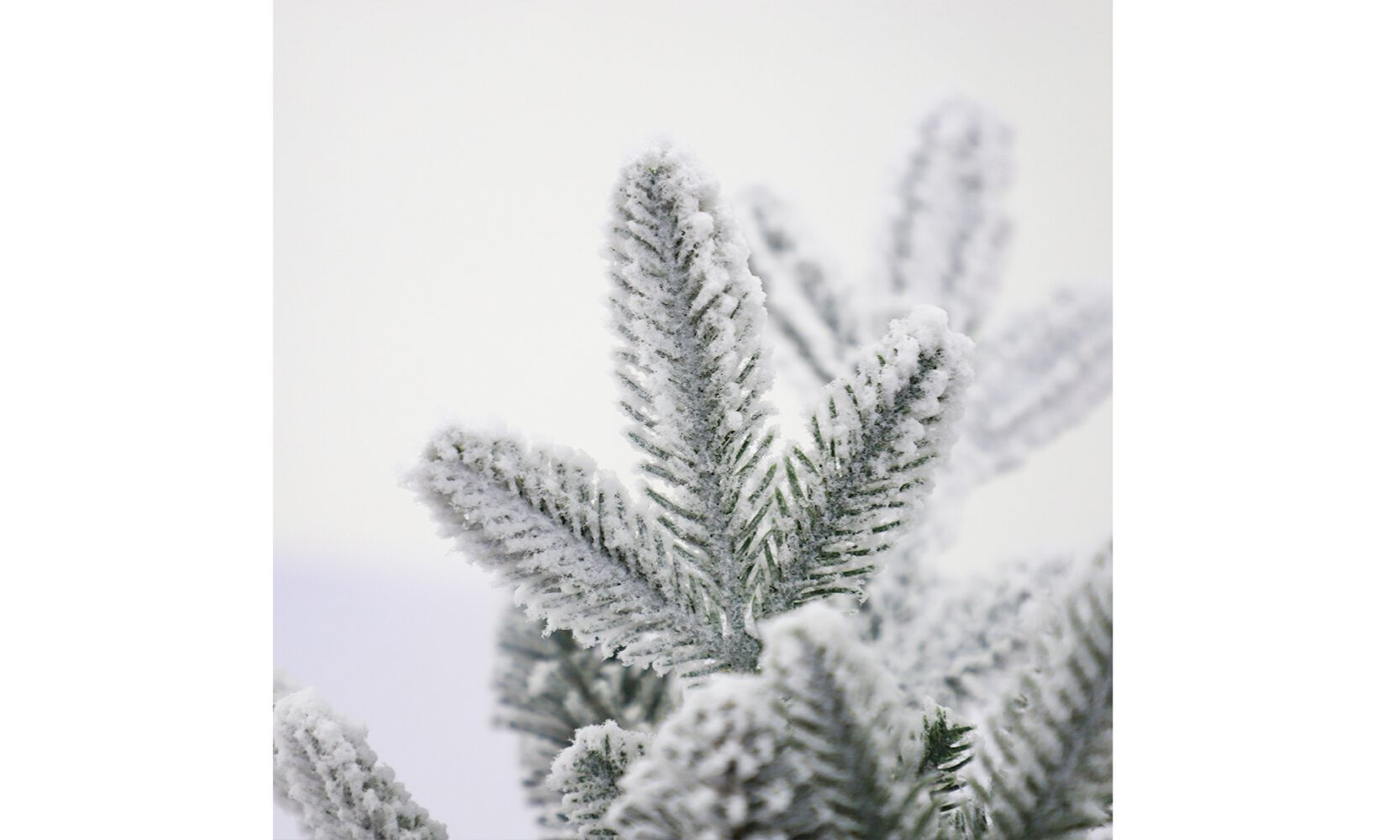 елка GIULIA GRILLO ALBERO CLASSICO INNEVATO - INCANTATO ARCH-00125432 - Вид №3