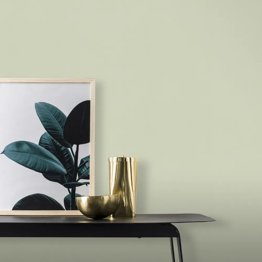 Обои флизелиновые Wall Up Simple фисташковые фон 1.06 м 646238 STLM-2072373 - Вид №3