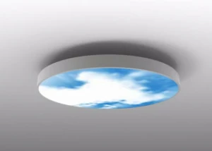 Neonny Светодиодный потолочный светильник прямого света