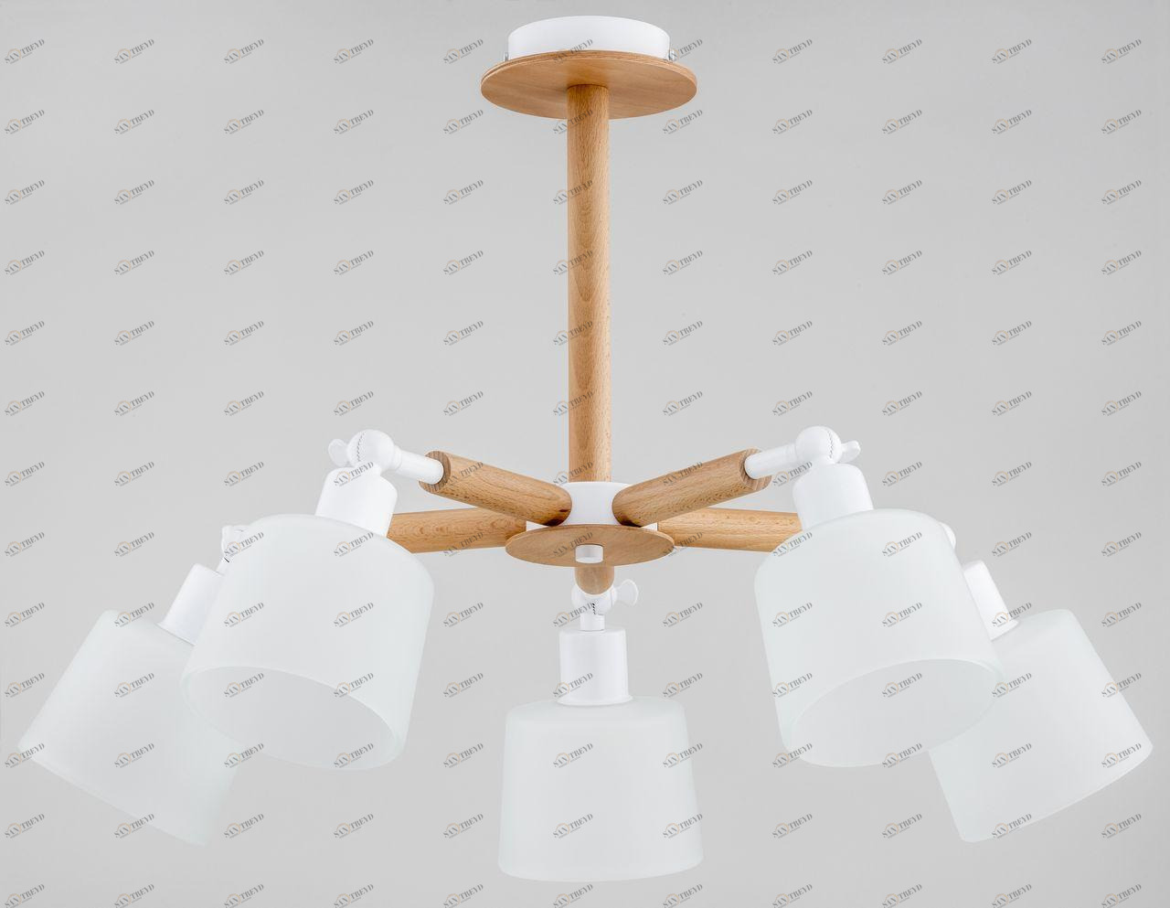 Потолочная люстра Alfa Bushwick 27005 ALFA BUSHWICK 313549 Белый 