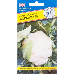 Семена Капуста цветная «Барбара» F1 82457174 STLM-2062410