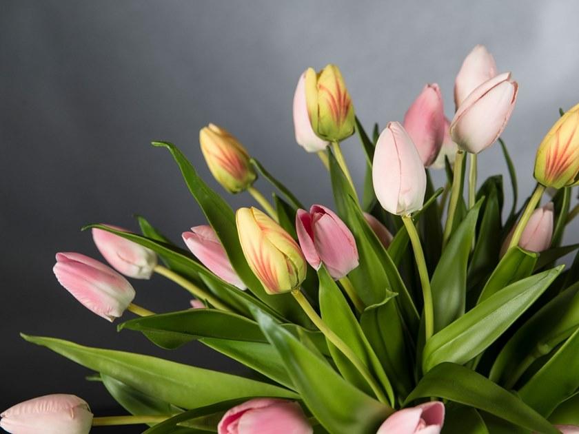 VGnewtrend Искусственное растение  1142267.33  - Вид №1