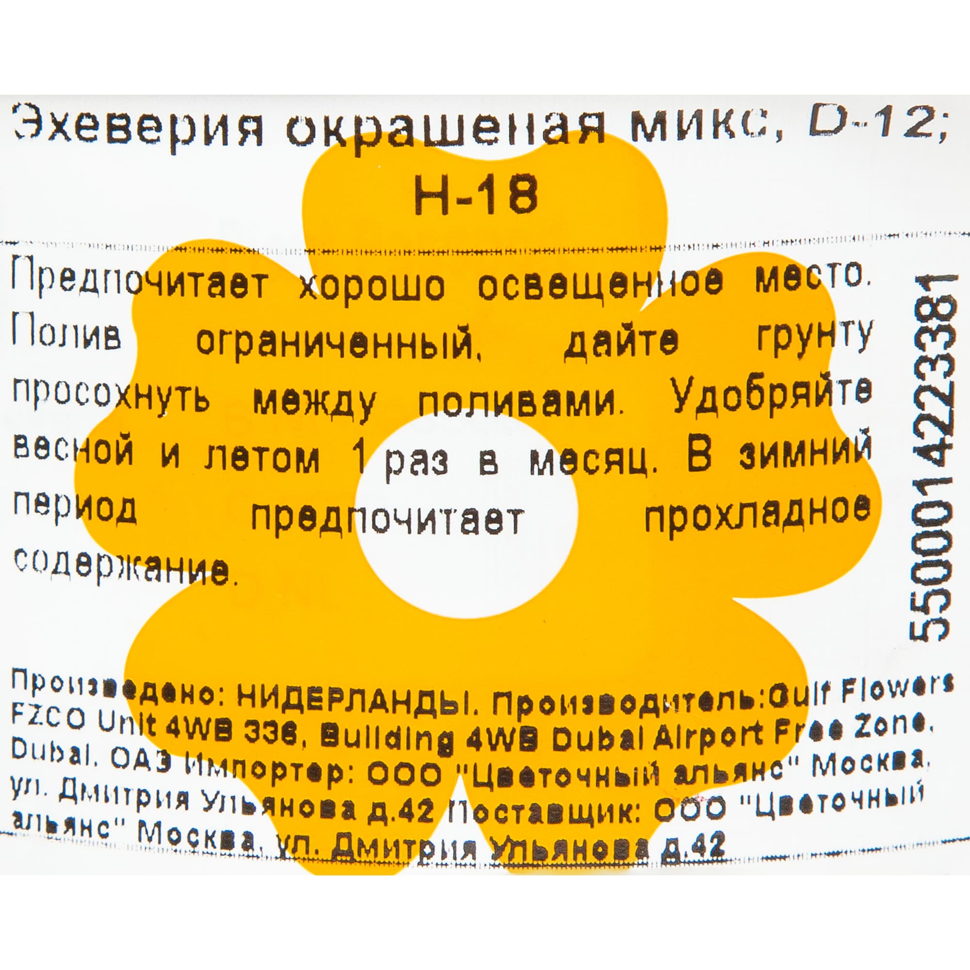 82929557 Эхеверия окрашенная микс 12x18 см Santreyd  - Вид №3