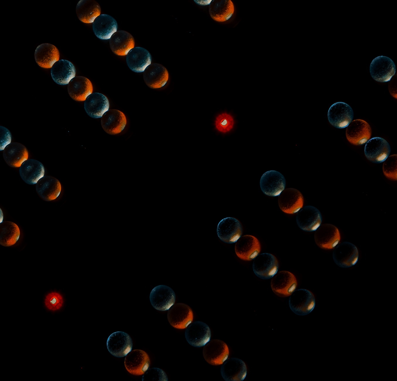 1736 Линза для Quantum board 30 градусов LAB.Space  - Вид №50