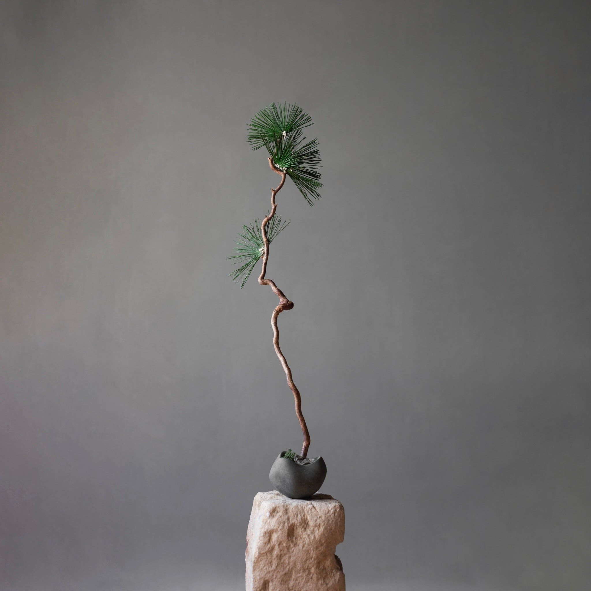 Керамическая чаша 101 Copenhagen Curve ARCH-00135368 - Вид №2