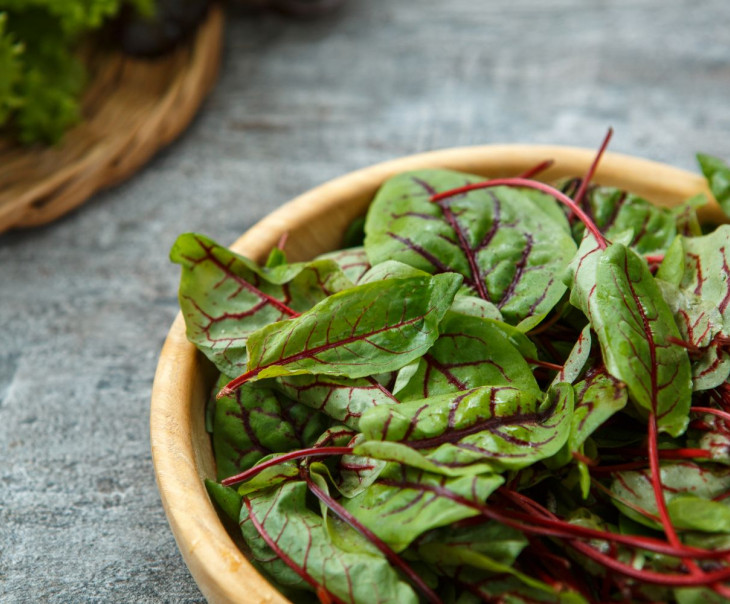 7350 Щавель красный (baby leavs) Выращено Рядом (iFarm) Вкусляндия  - Вид №1