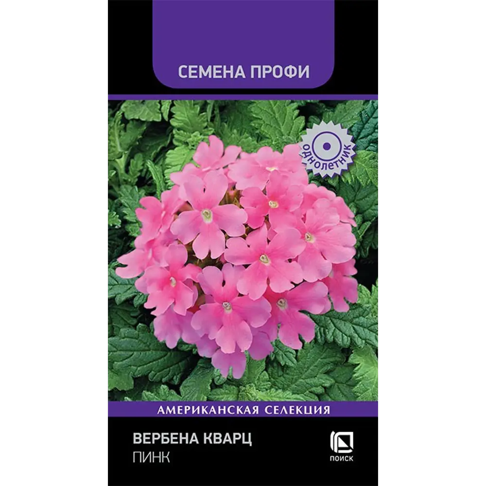Вербена Кварц Пинк от ПОИСК - яркие розовые соцветия для сада 89401267 STLM-1578424