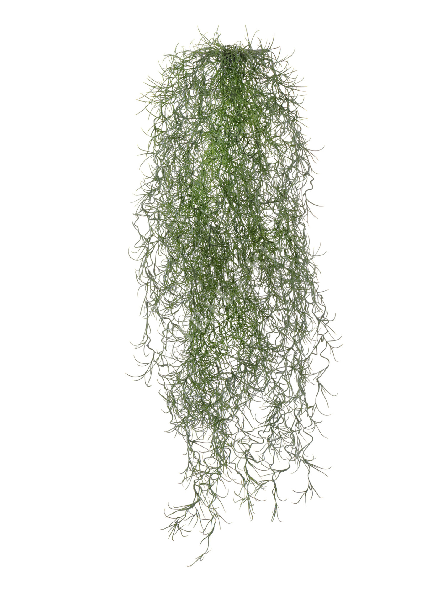 20.5940GR Тилландсия-паутинка серо-зелёная Цветочная коллекция 