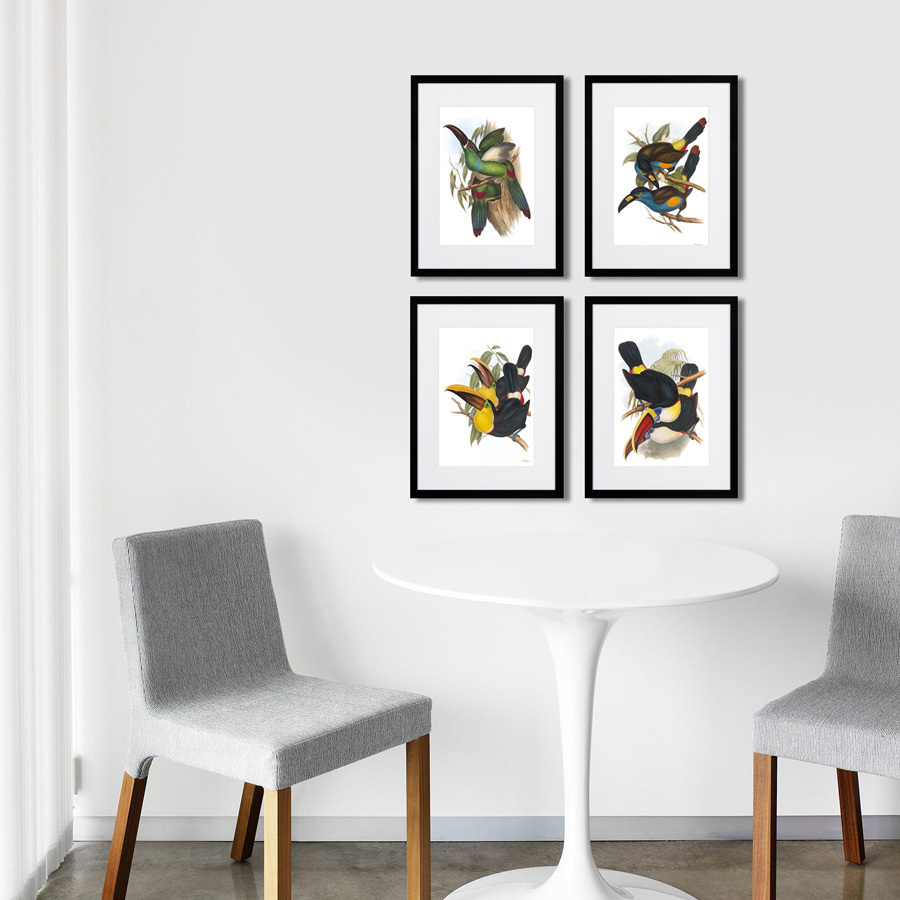 Картина в раме 32х42 см Toucans №5, 1849г. КАРТИНЫ В КВАРТИРУ  264537 Желтый;зеленый;коричневый;разноцветный  - Вид №2