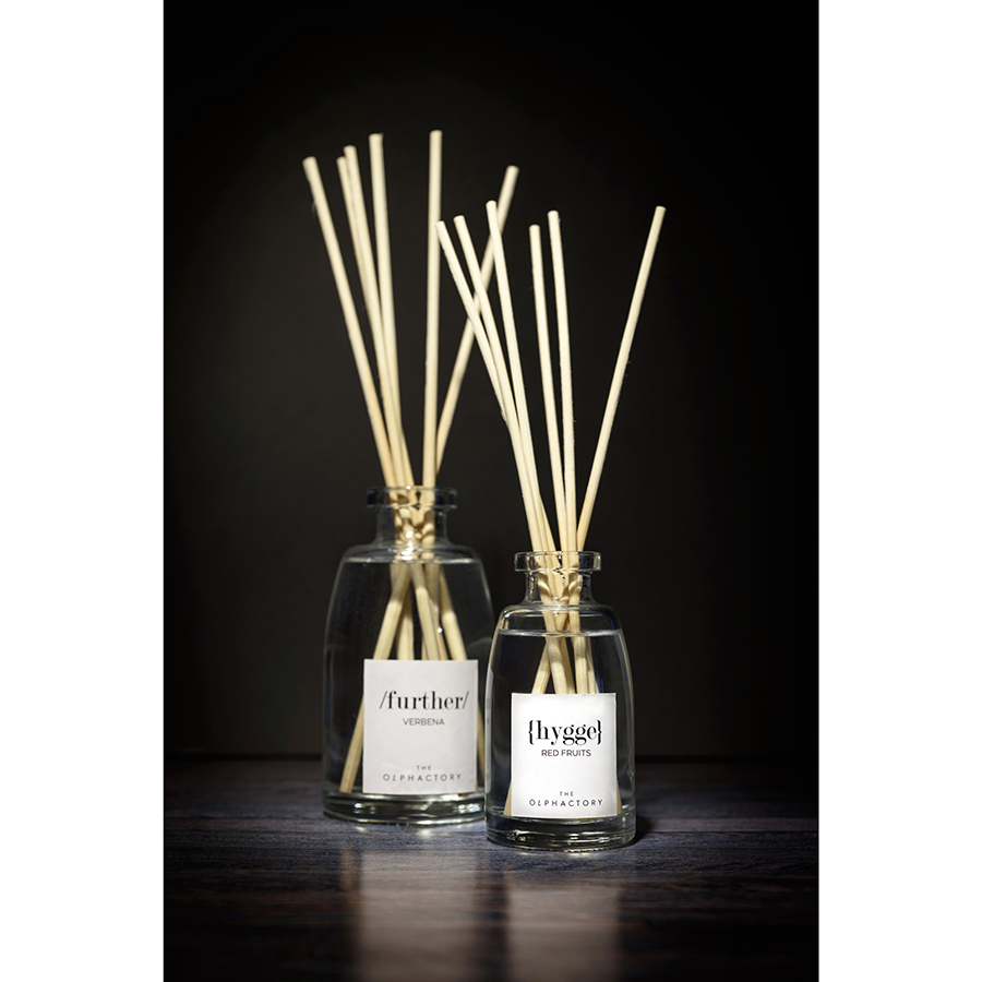 MK250VVTO Диффузор ароматический the olphactory, further, Вербена, 250 мл Ambientair  - Вид №1