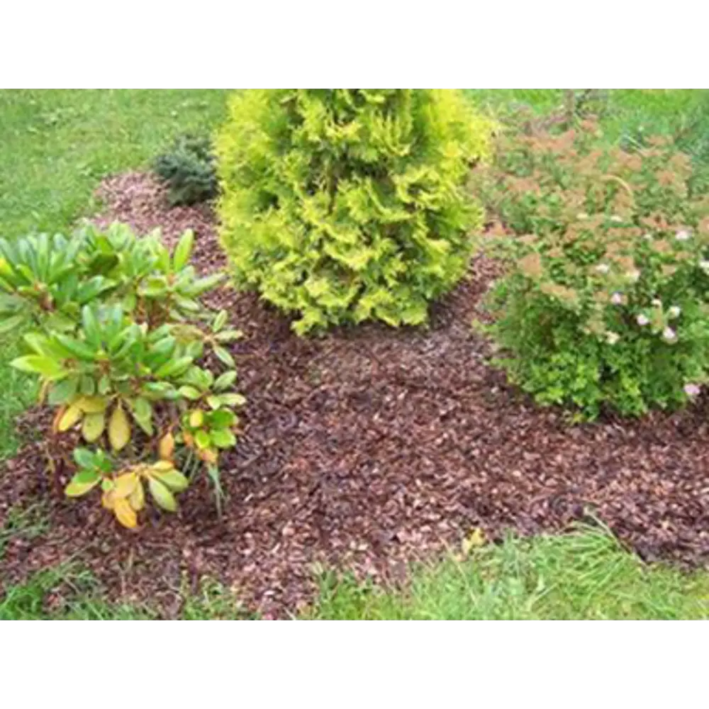 Santreyd Кора сосновая для мульчирования 60 л фракция 0-1 87487637 STLM-0074114 - Вид №4