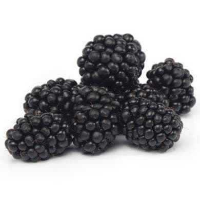 Ежевика Santreyd 1907