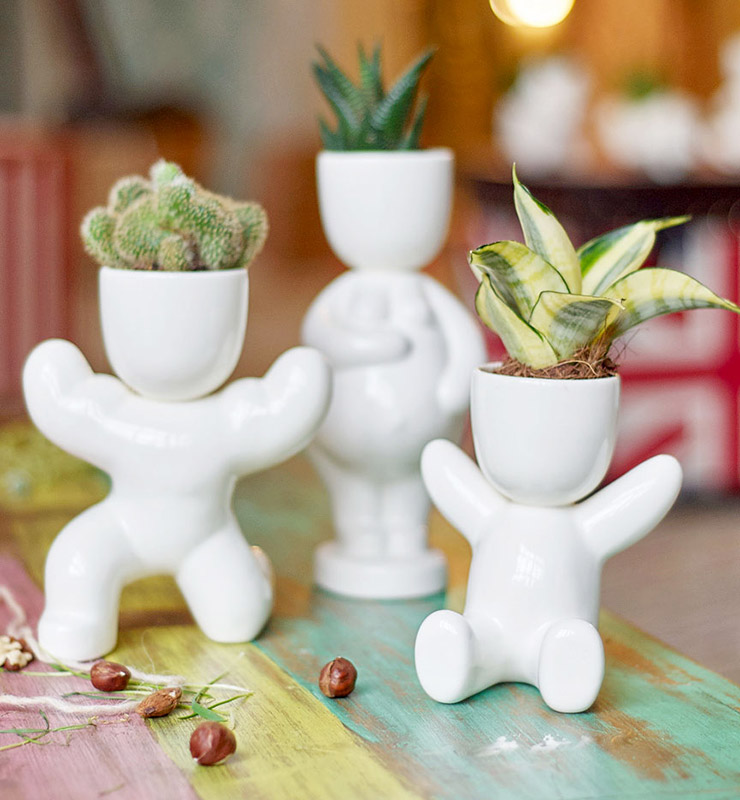 Набор для выращивания Eco Атлет ЭКОЧЕЛОВЕКИ 1005 - Вид №1