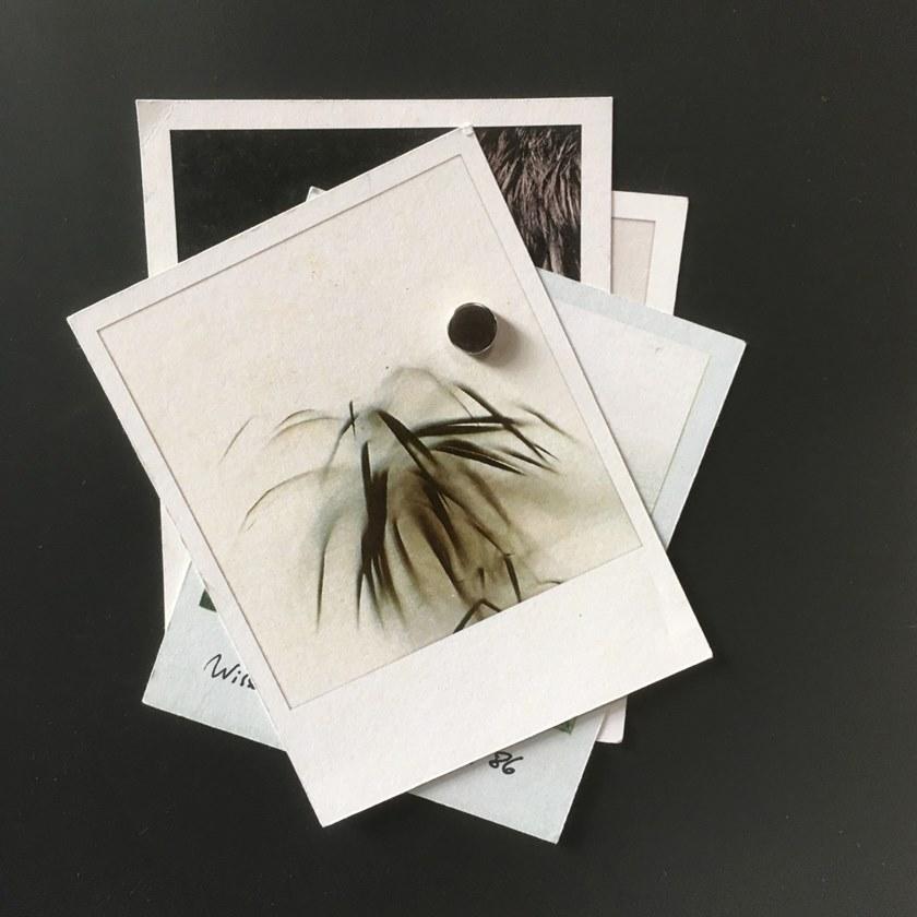 Groovy Magnets Магнитные виниловые обои Chalkboard sun-id-1438173 - Вид №18