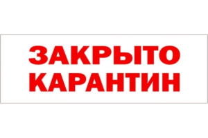 18615127 Табличка 300х100 Карантин 02FC0135 Контур Лайн