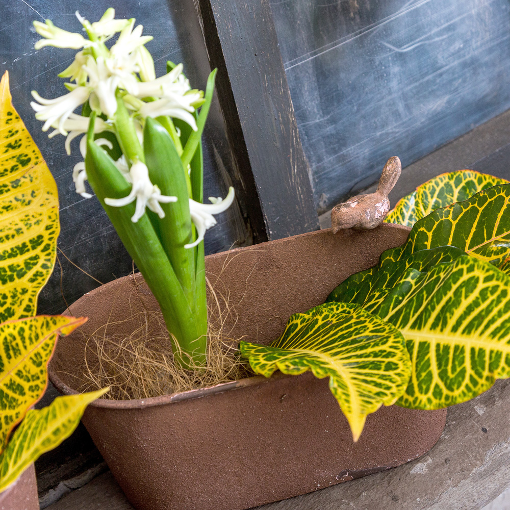 3112120 Металлическое кашпо «Сиена», версия L Object Desire  - Вид №3