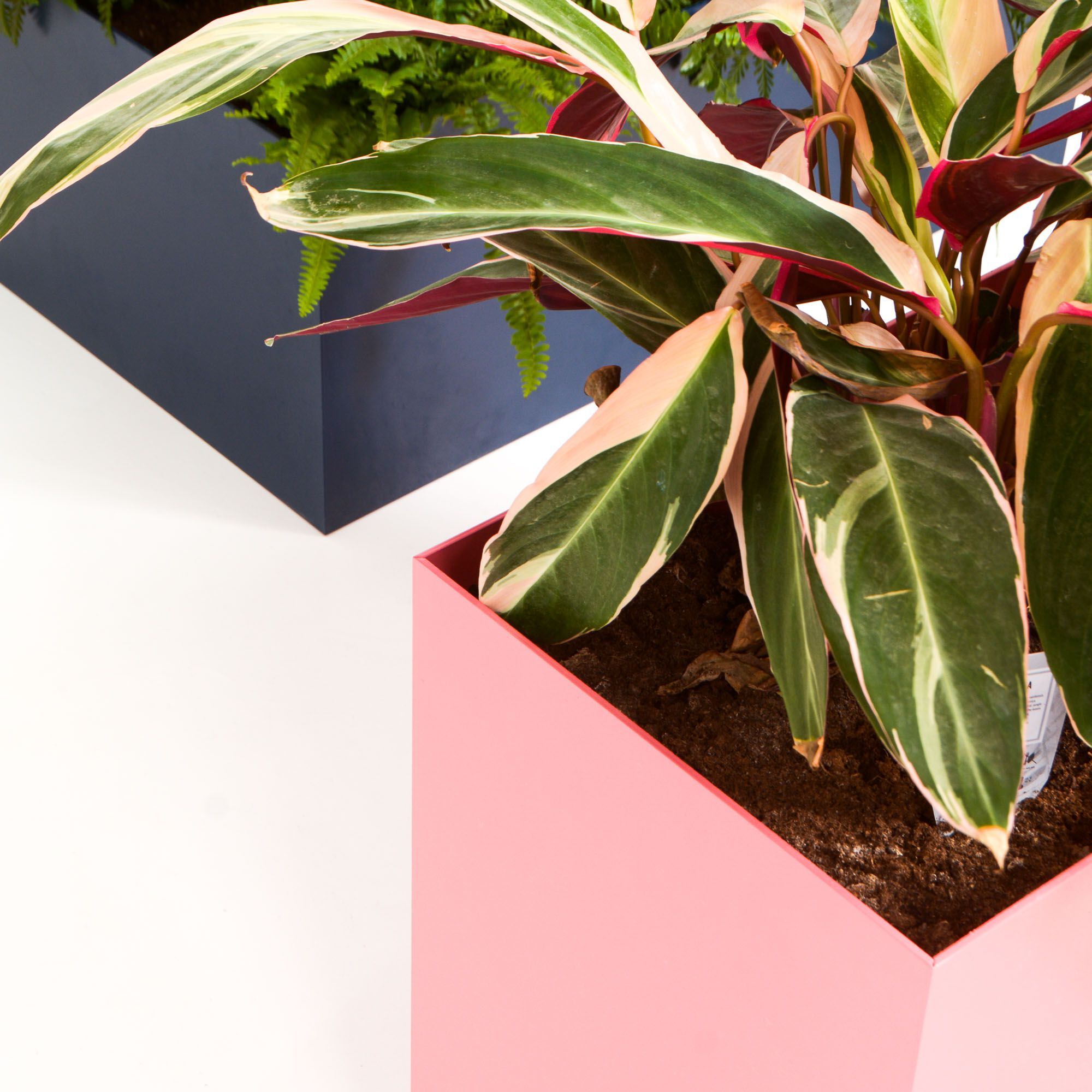 Низкая алюминиевая плантатор с порошковым покрытием SIXINCH PLANTER ARCH-00146353 - Вид №8