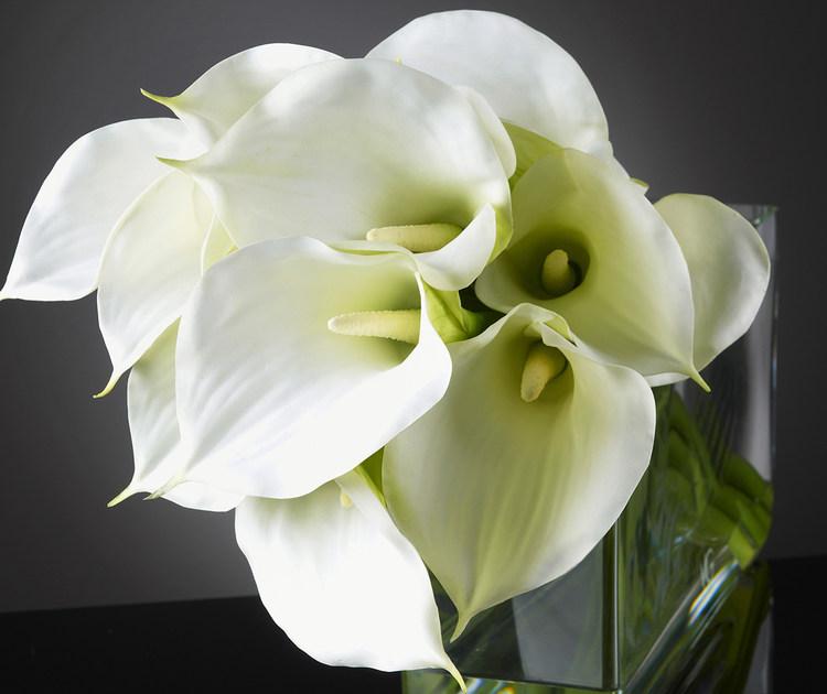 VGnewtrend Искусственное растение  1141180.95  - Вид №1