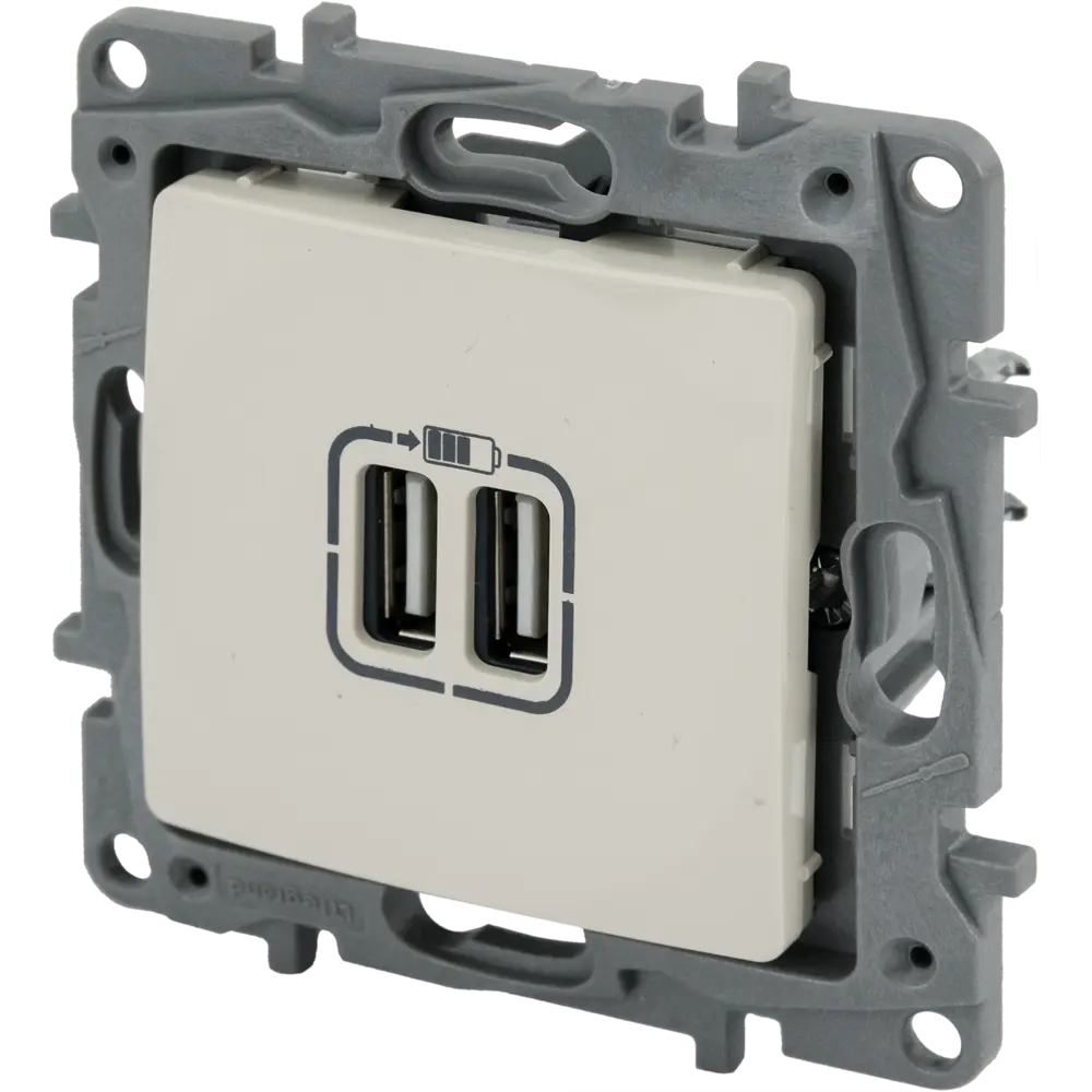 Двойная USB-розетка Legrand Etika для быстрой зарядки устройств 82496487 STLM-0028698 - Вид №1