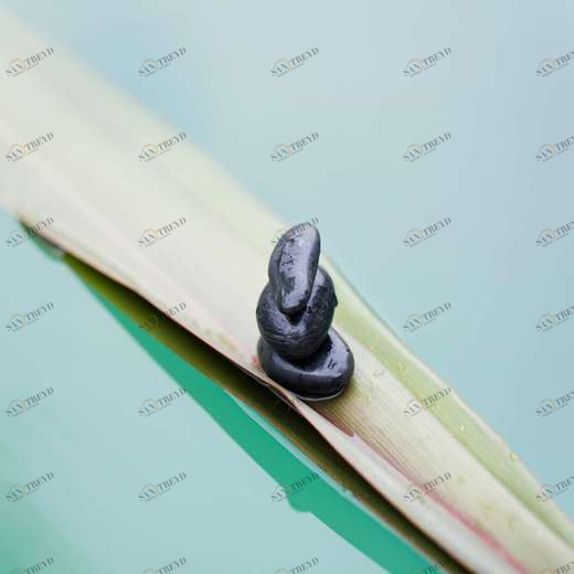 WP00188 Фотообои Verol Фотообои decoline 1х1 м