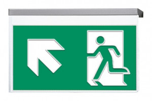 DST-2244 Vir-p Daisalux Светильники сигнальные Серебристо-Серый