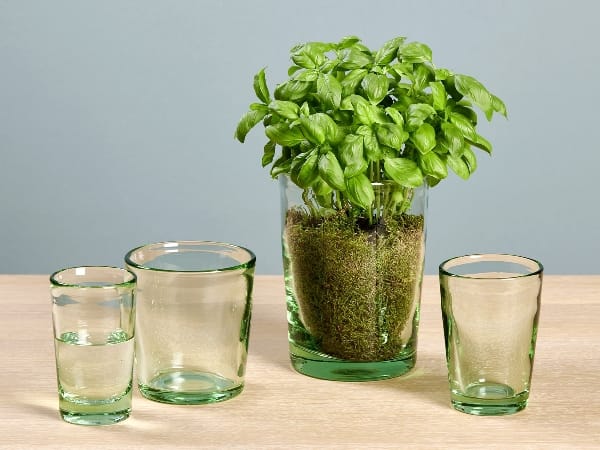 Круглая стеклянная ваза LAMBERT Эмма ARCH-00028742 - Вид №1