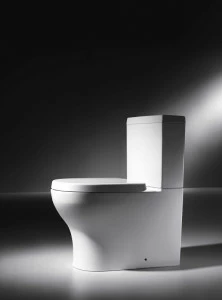 CX01016UW Компакт унитаз с бачком Белый Bravat Rael Турция