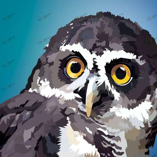 WP00649 Фотообои Verol Фотообои decoline 1х1 м