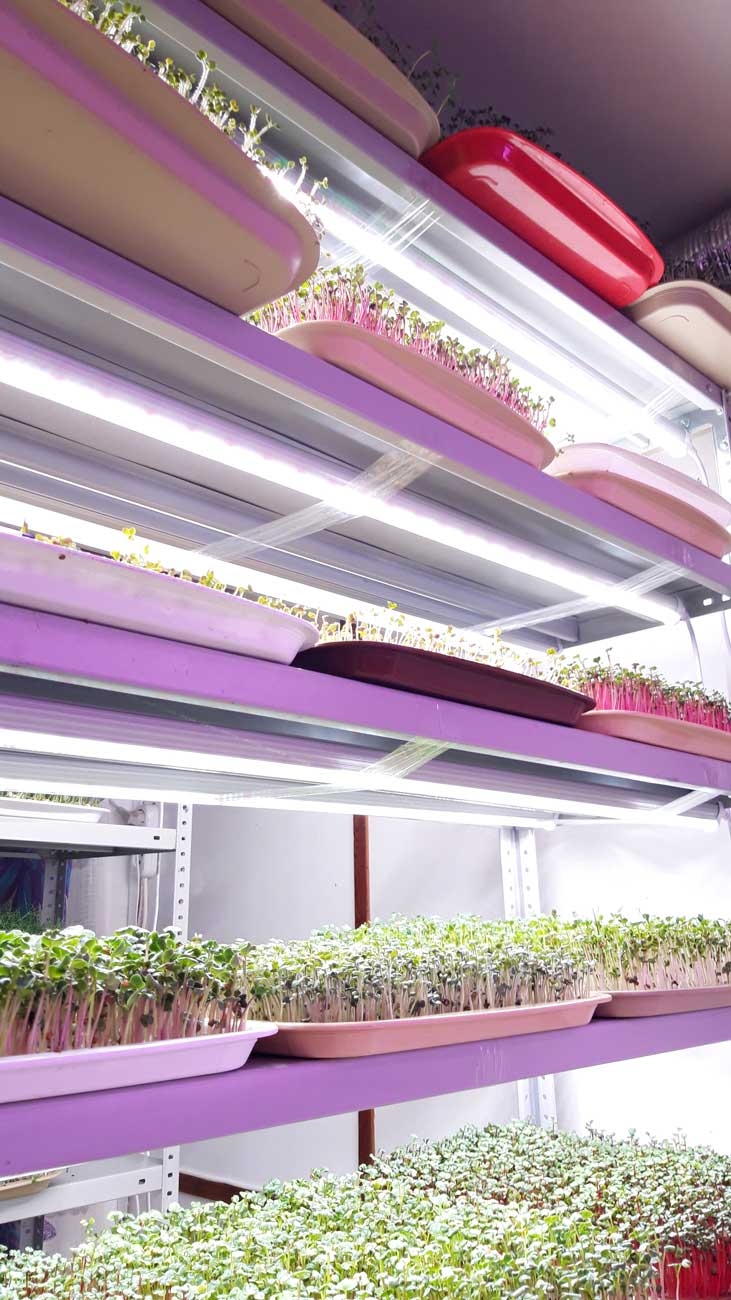 1038 Фитолампа для растений линейная VA-3 120 см Биколор комфорт 5000+660 LAB.Space  - Вид №8