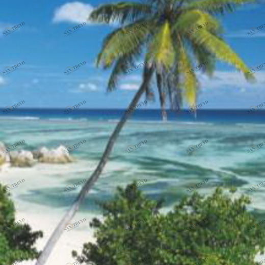 2-1096-Palmtree Фотообои Komar Doors 2.2х0.92 м 21096PALMTREE