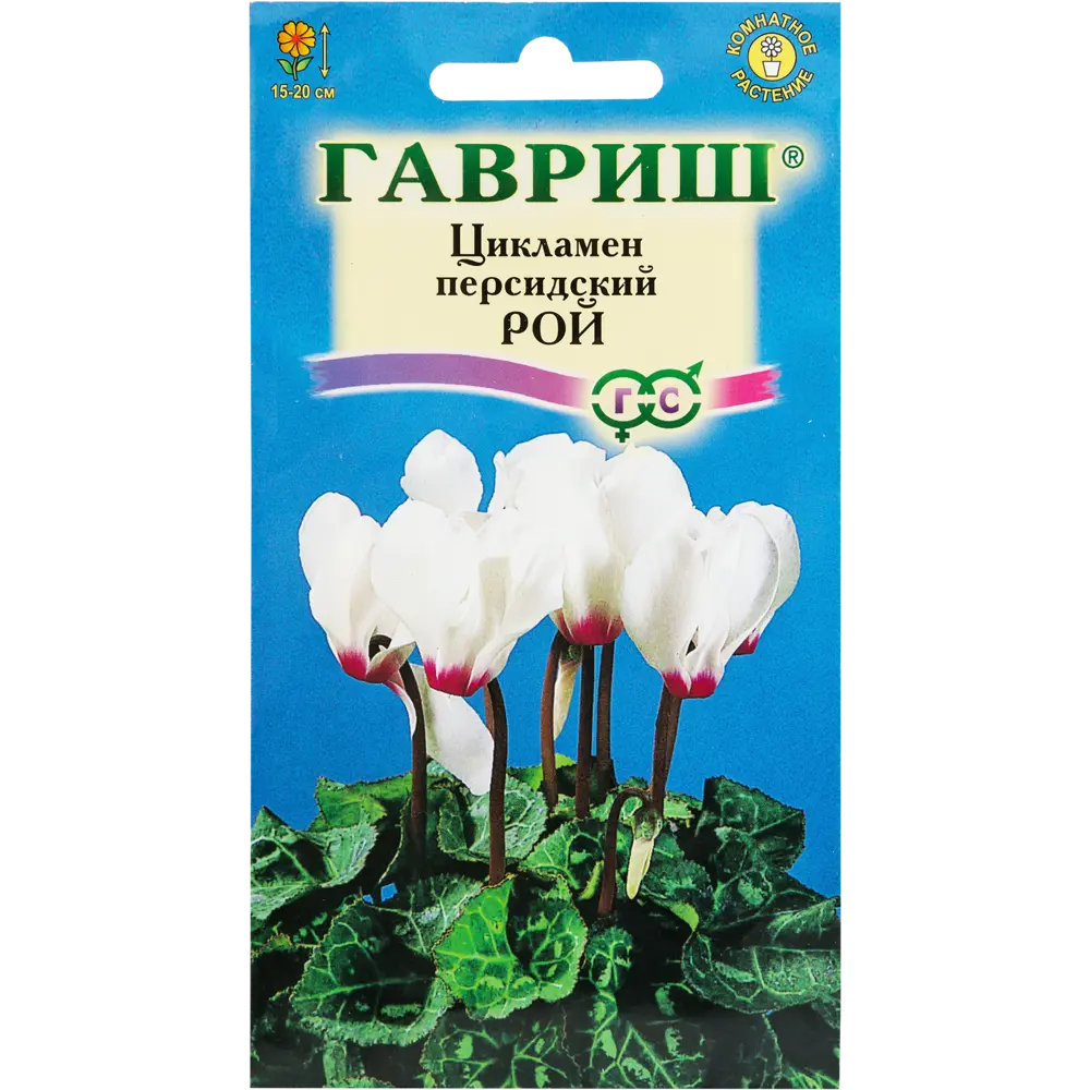 Цикламен персидский «Рой», 3 шт. 82472686 STLM-2018871 ГАВРИШ 